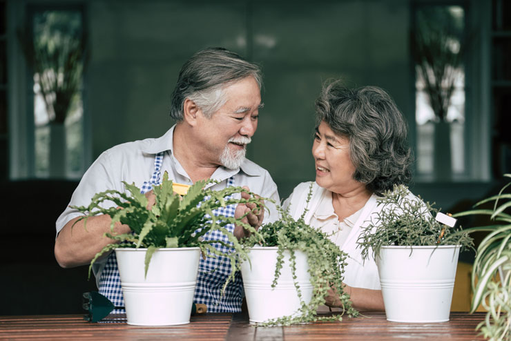 PineRidge of Montclair