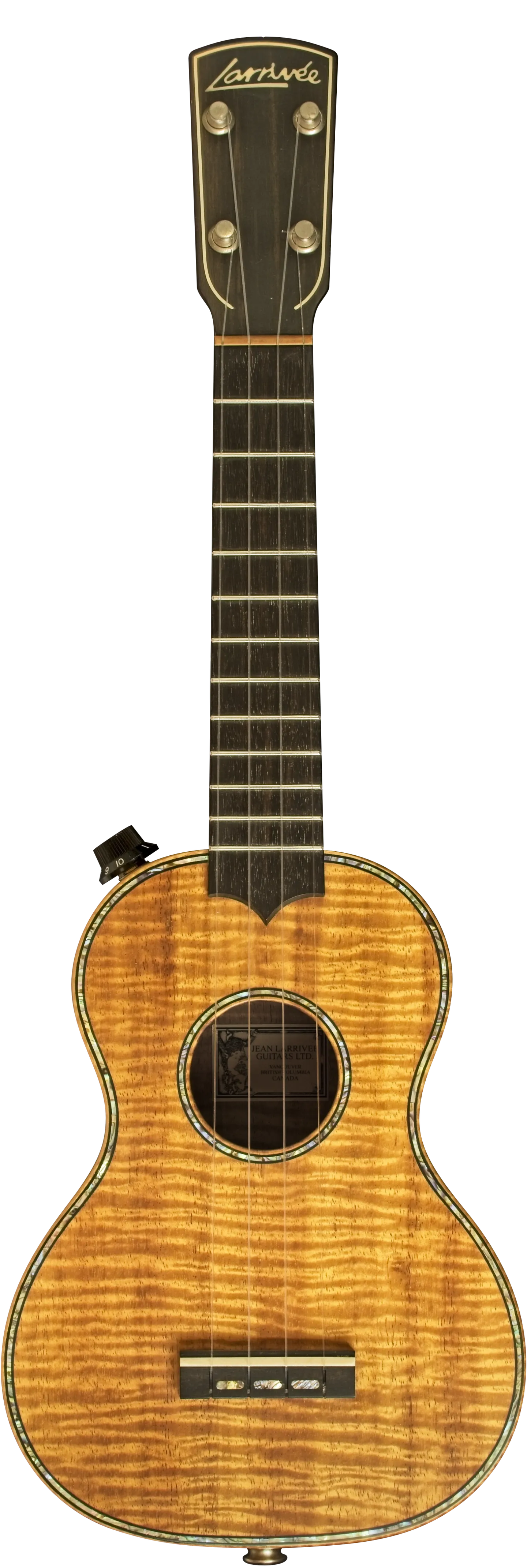 Worth Strings を装備したウクレレ