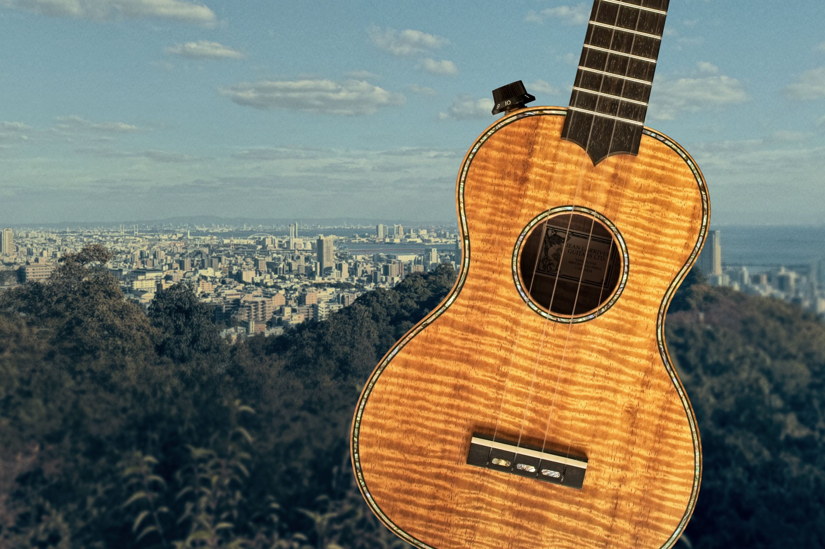 Powerful sound for your Ukulele - Worth Strings