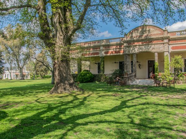 Historic estancia building with majestic ombú tree and manicured grounds in San Antonio de Areco, Buenos Aires.