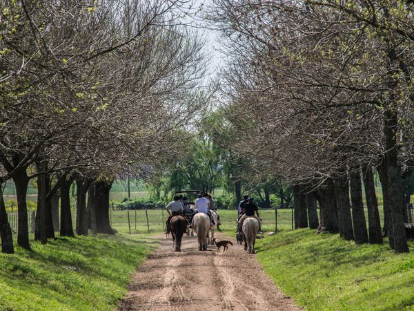 Horseback riders trail through a tree-lined dirt road in San Antonio de Areco, Buenos Aires.