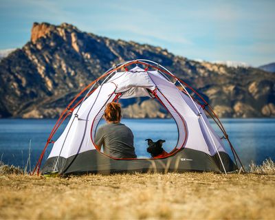 Camper with black dog inside tent overlooking pristine lake with dramatic rocky peaks in Patagonia.