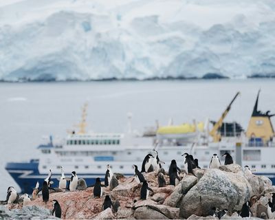 Penguins gather on rocky shores with an Antarctic glacier and expedition cruise ship in the background.