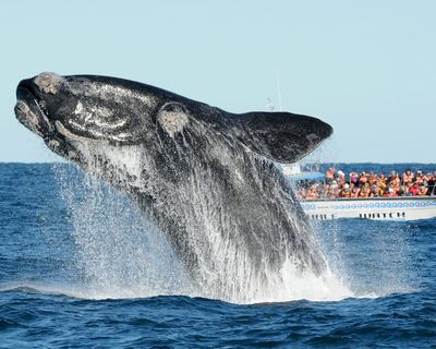 Puerto Madryn