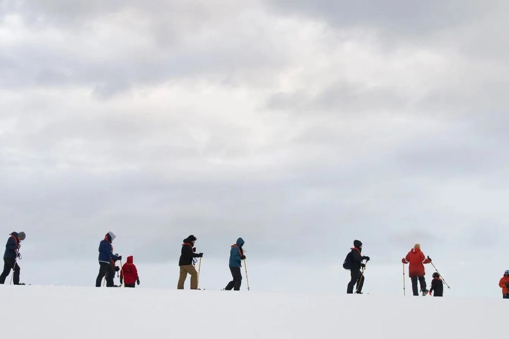 Group of hikers traversing snowy Antarctic landscape with trekking poles under overcast sky.