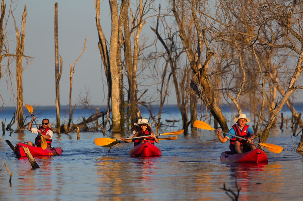 Kayakers in red kayaks navigate the shallow waters of Esteros del Iberá surrounded by dead trees and wildlife.