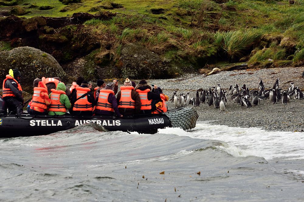 Zodiac boat with passengers in orange life jackets approaches a penguin colony on a Patagonian beach during an Australis cruise.