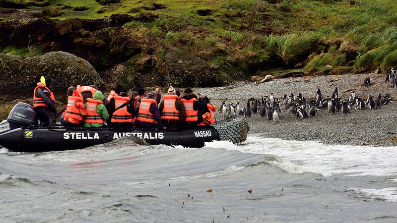 Crucero Australis Fiordos Tierra del Fuego