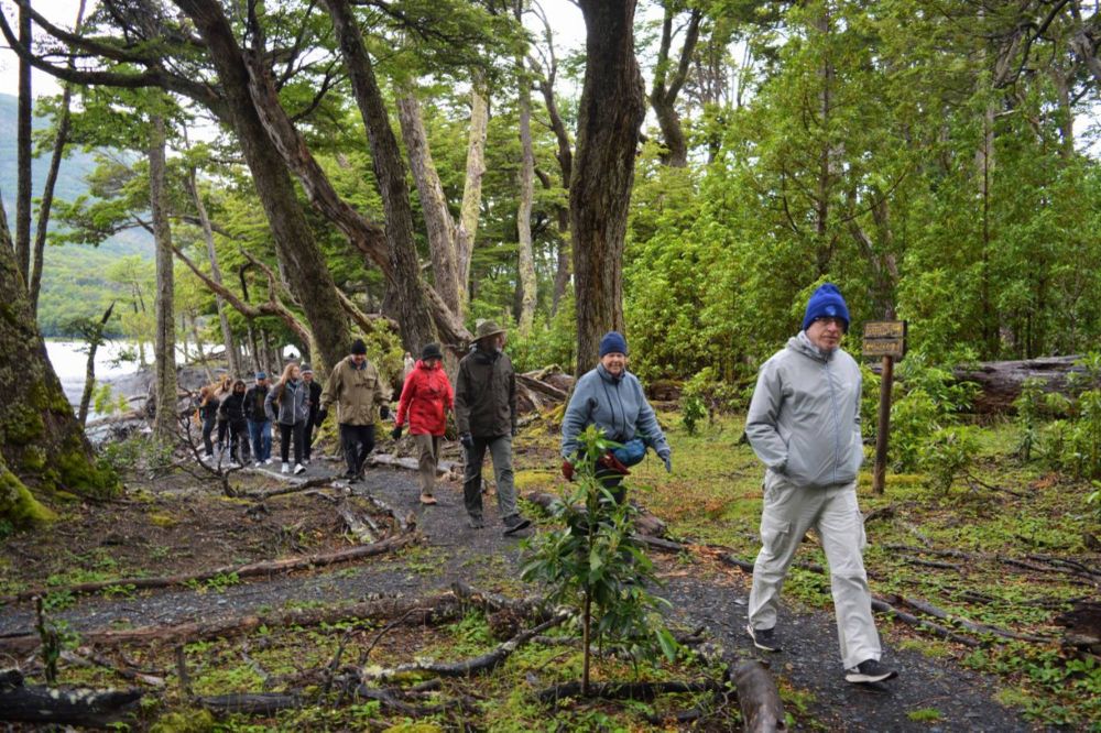 Hikers trek through a lush beech forest along a scenic trail near El Calafate, with a lake visible through the trees.