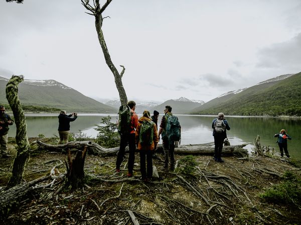 Hikers rest by a moss-covered tree on the shore of a pristine Patagonian lake surrounded by snow-capped mountains.