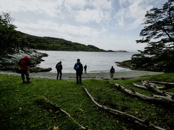 Hikers explore a windswept coastal cove in Tierra del Fuego National Park, with forested hills and calm waters framing the remote wilderness landscape.