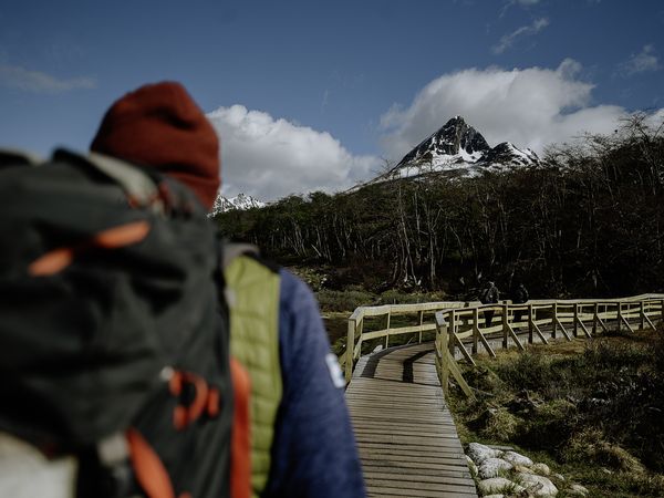 Hiker with red beanie and backpack on wooden boardwalk with snow-capped mountain peak and lenga forest in Patagonia.