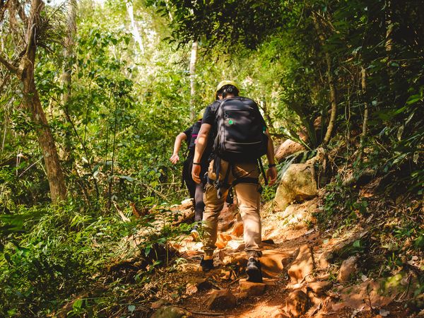 Hiker with backpack trekking through lush green jungle forest trail near Iguazú.