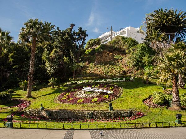 Viña del Mar's stunning coastal gardens feature lush palms, colorful flower beds, and a white hillside mansion under blue skies.