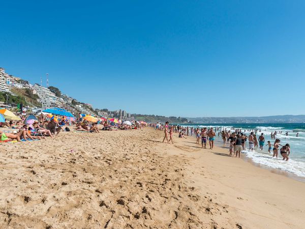 Crowded sandy beach in Viña del Mar with colorful umbrellas, swimmers in turquoise waters, and hillside residential buildings under clear blue sky.