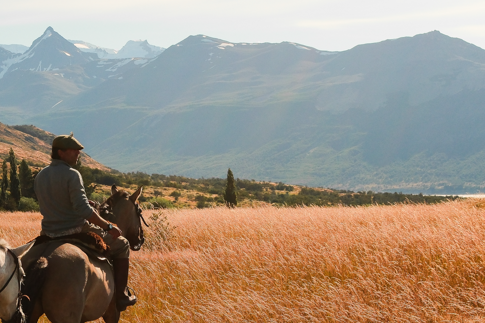 Horseback riders traverse golden grasslands with snow-capped mountains and a pristine lake in the background near El Calafate, Patagonia.
