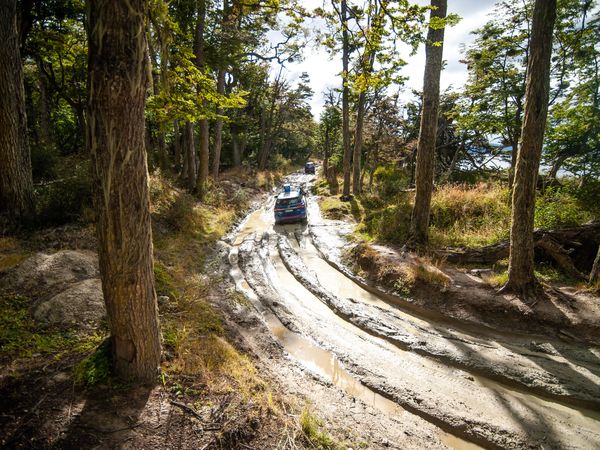 Four-wheel drive vehicle navigating a muddy forest trail through towering trees in the Lake District region of Patagonia.