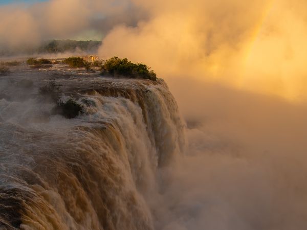Massive waterfall cascade at Iguazú Falls shrouded in golden mist during sunset, revealing lush vegetation on the cliff edge.