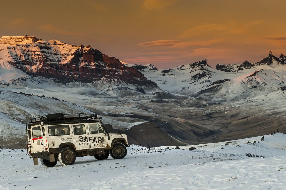 Safari Experience