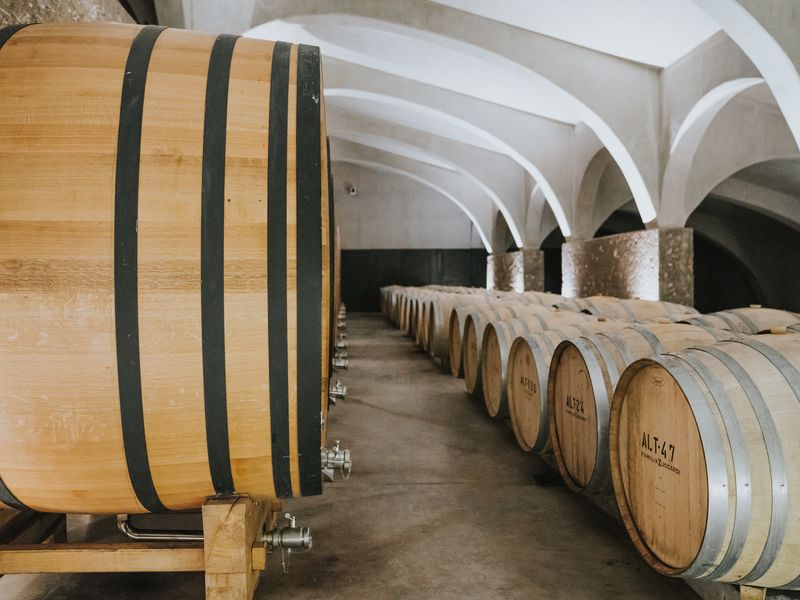 Wine barrels aging in a traditional cellar with white arched ceilings in Mendoza, Argentina.