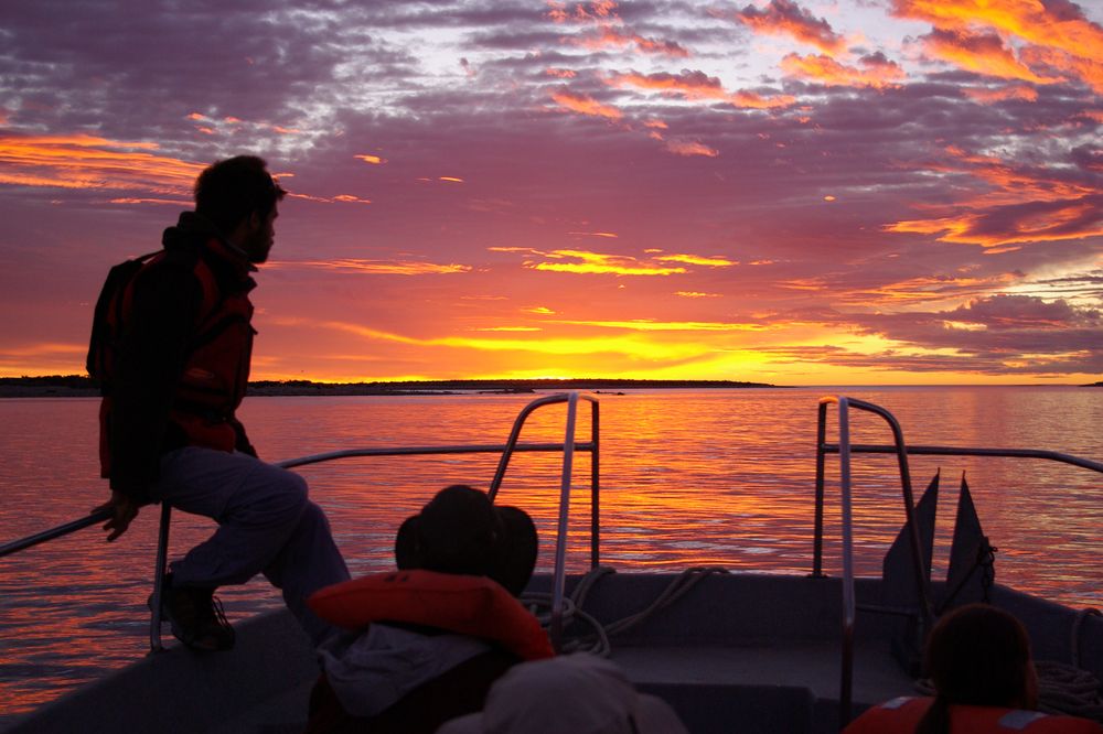 Silhouetted travelers aboard a boat at sunset in Bahía Bustamante, Patagonia, with vibrant orange and purple skies reflecting on calm waters.