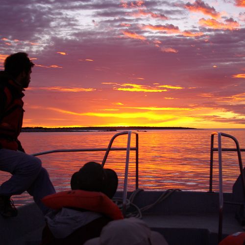 Silhouetted travelers aboard a boat at sunset in Bahía Bustamante, Patagonia, with vibrant orange and purple skies reflecting on calm waters.