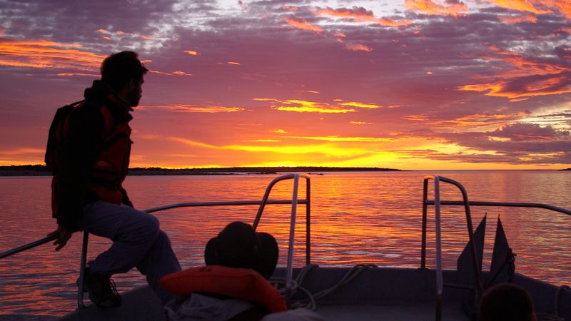 Patagonia Detox: Escapada a Bahía Bustamante
