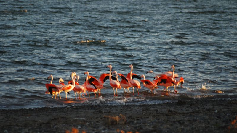 Patagonia Detox: Escapada a Bahía Bustamante
