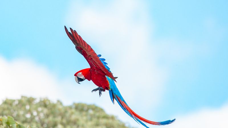 Safari en Esteros del Iberá en Aguapé Lodge
