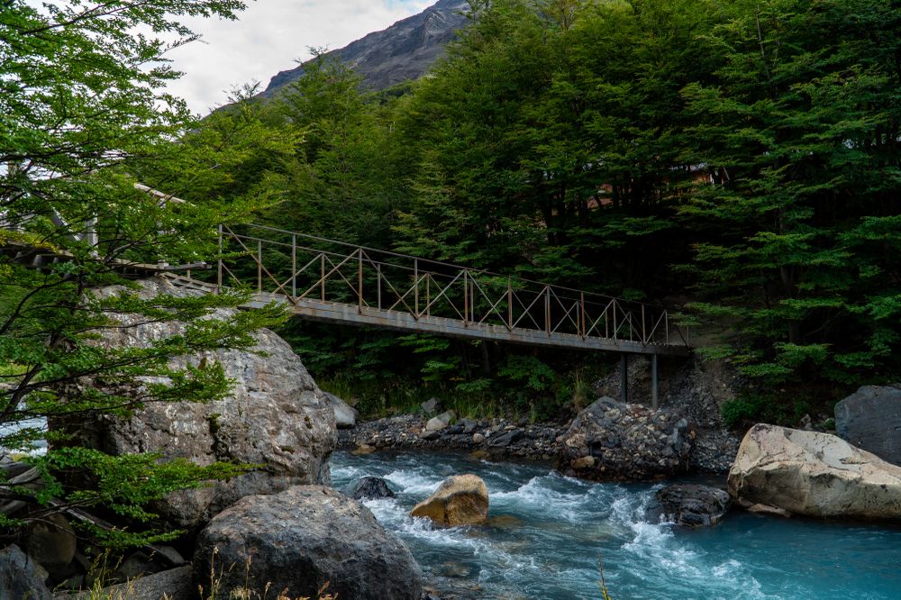 Wooden footbridge crossing turquoise river in lush forest at Torres del Paine National Park, Patagonia.