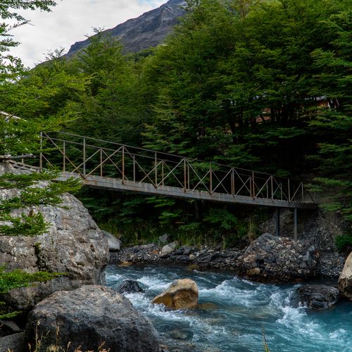 Wooden footbridge crossing turquoise river in lush forest at Torres del Paine National Park, Patagonia.