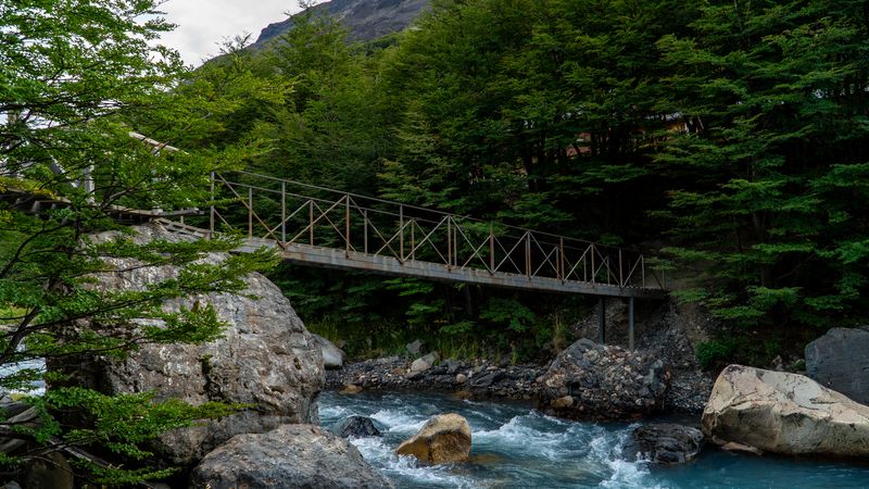 Wooden footbridge crossing turquoise river in lush forest at Torres del Paine National Park, Patagonia.