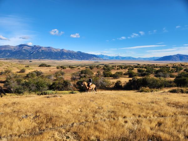 Horseback rider traversing golden grasslands beneath snow-capped mountains in Patagonia's vast wilderness.