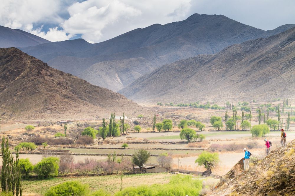 Hikers explore the dramatic arid mountains and green valley of Cafayate, Salta Province, with poplar trees lining the river.