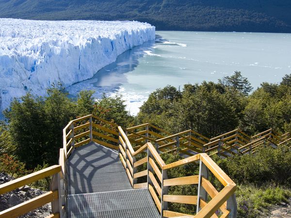 Wooden boardwalk overlooks the massive blue ice wall of Glaciar Perito Moreno in El Calafate, Patagonia.