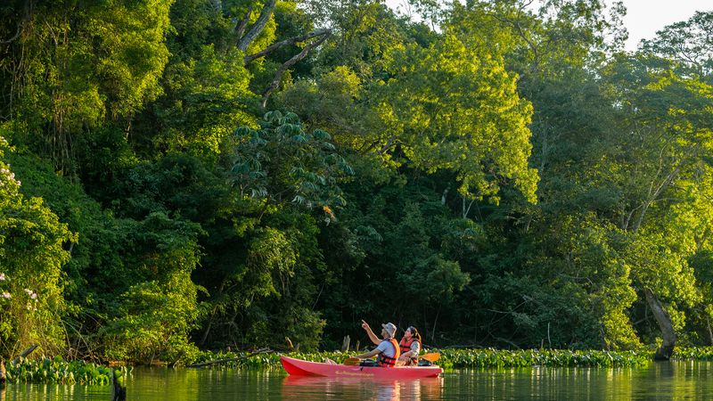 Esteros del Iberá y Cataratas del Iguazú de Lujo