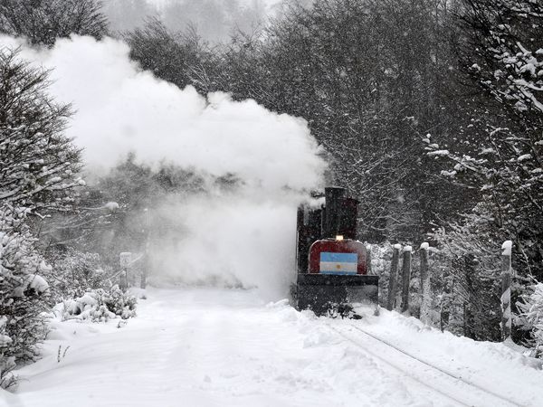 Steam locomotive Tren Fin del Mundo travels through snowy Patagonian forest near Ushuaia, Argentina.