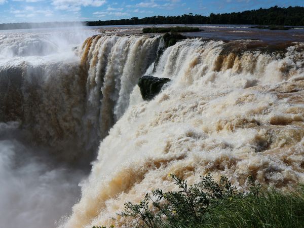 Powerful, wide waterfall with turbulent brown water plunging into mist. Green plants in the foreground, distant forest and blue sky.