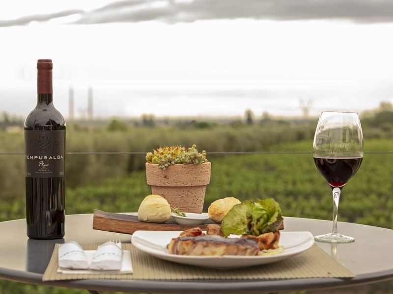 Tempus Alba wine with gourmet food overlooking Mendoza vineyards in Argentina's wine country.