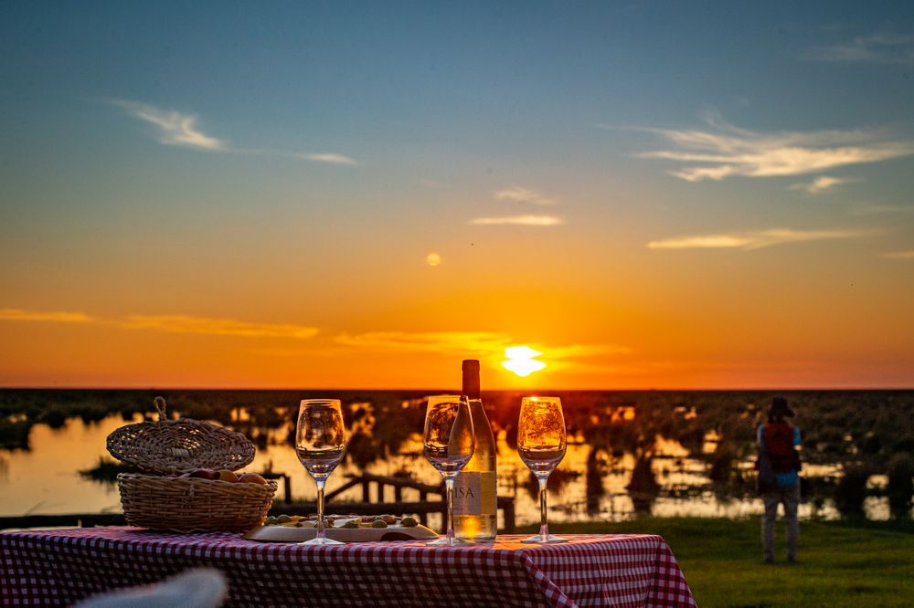Sunset picnic at Esteros del Iberá with wine glasses and basket overlooking the golden wetlands landscape.