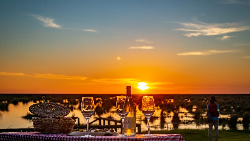 Escapada a Esteros del Iberá en Puerto Valle  