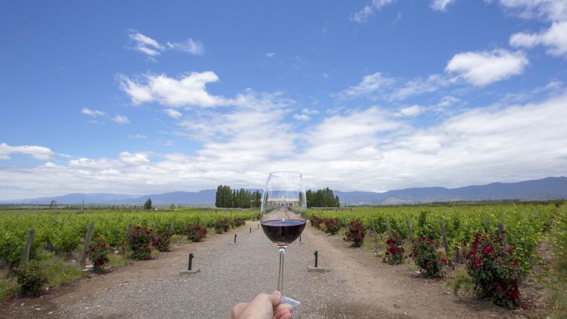 Hand holding a wine glass with red wine overlooking vineyard rows in Mendoza wine region with Andes mountains in background.