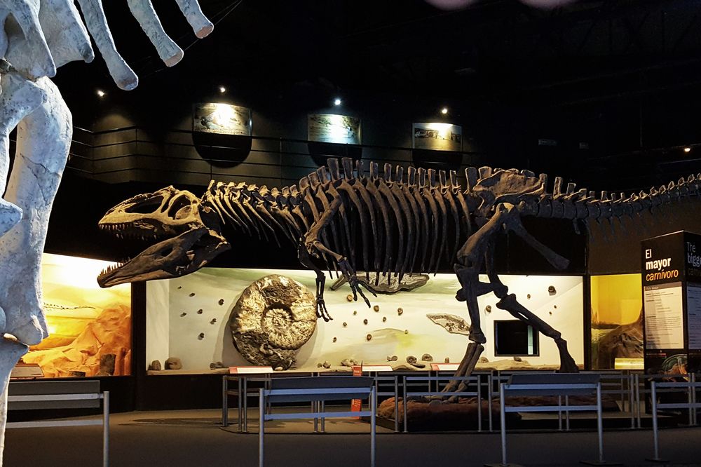 Valle Inferior, Gaiman y Museo Paleontológico de Trelew