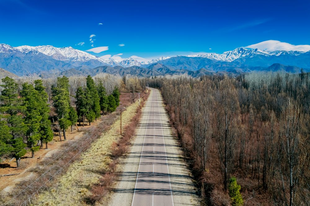 Straight road through forested valley with snow-capped Andes mountains in the distance near Mendoza, Argentina.