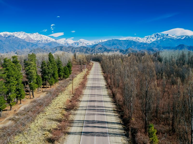 Straight road through forested valley with snow-capped Andes mountains in the distance near Mendoza, Argentina.