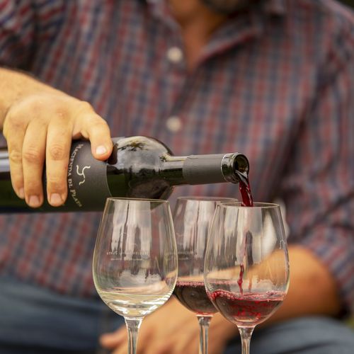 Man pouring red wine from a bottle into three glasses during a Mendoza wine tasting experience.