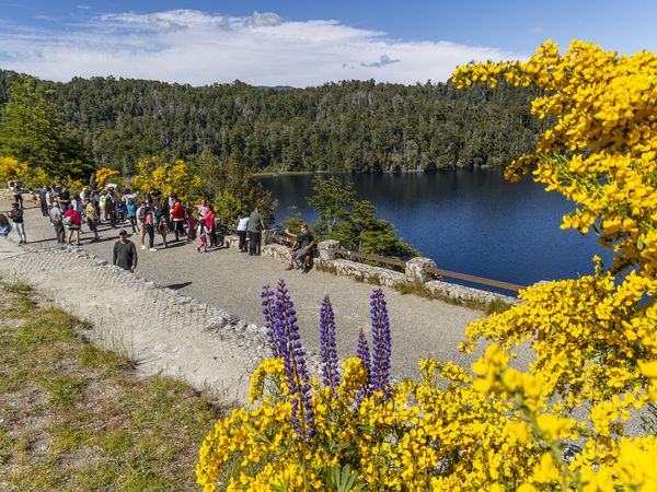 Tourists gather on a sandy beach beside turquoise lake waters surrounded by dense forests and blooming yellow flowers in Patagonia.
