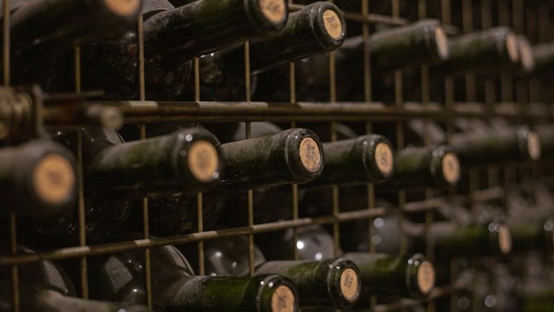 Aged wine bottles stacked horizontally in a Mendoza winery cellar, showcasing Argentina's renowned wine production heritage.