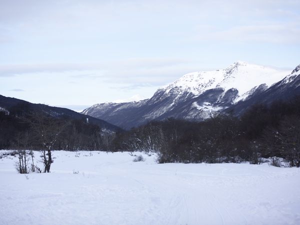 Snow-covered landscape with frozen lakes surrounded by snow-capped mountains and native beech forests in Tierra del Fuego, Patagonia.