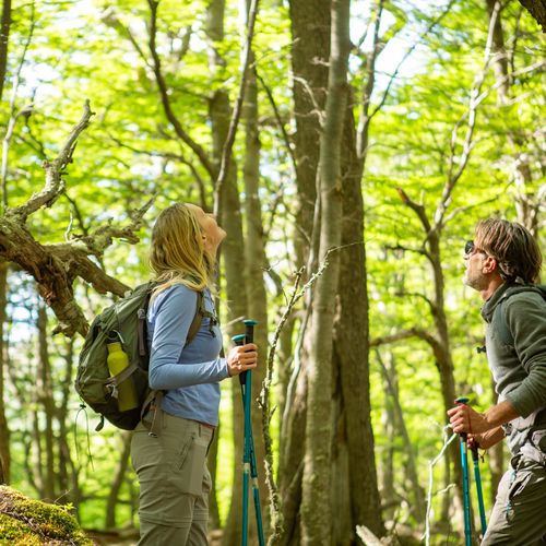 Two hikers with backpacks and trekking poles explore a lush forest trail in Valle Francés, Torres del Paine.